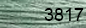 DMC Skeine 3817