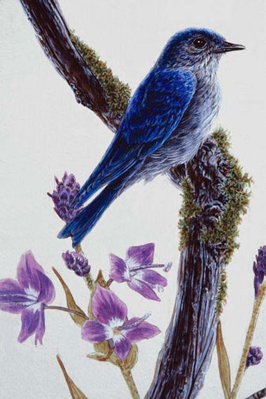 Pattern for Blue Jay image